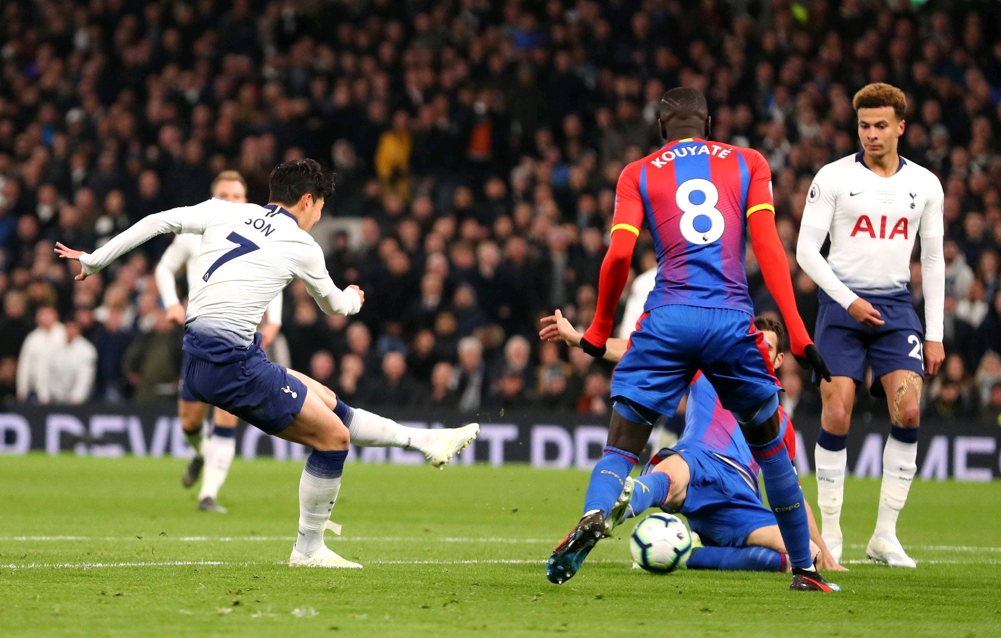 的忠诚典范 的忠诚典范